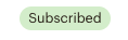 A screenshot of the subscribed badge in a mailchimp audience