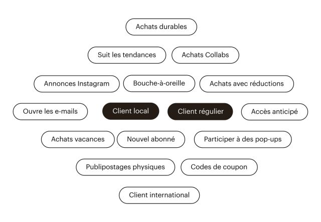 Une variété d'exemples de segments pouvant être ciblés avec les campagnes Mailchimp, comme "Client local" et "Client régulier".