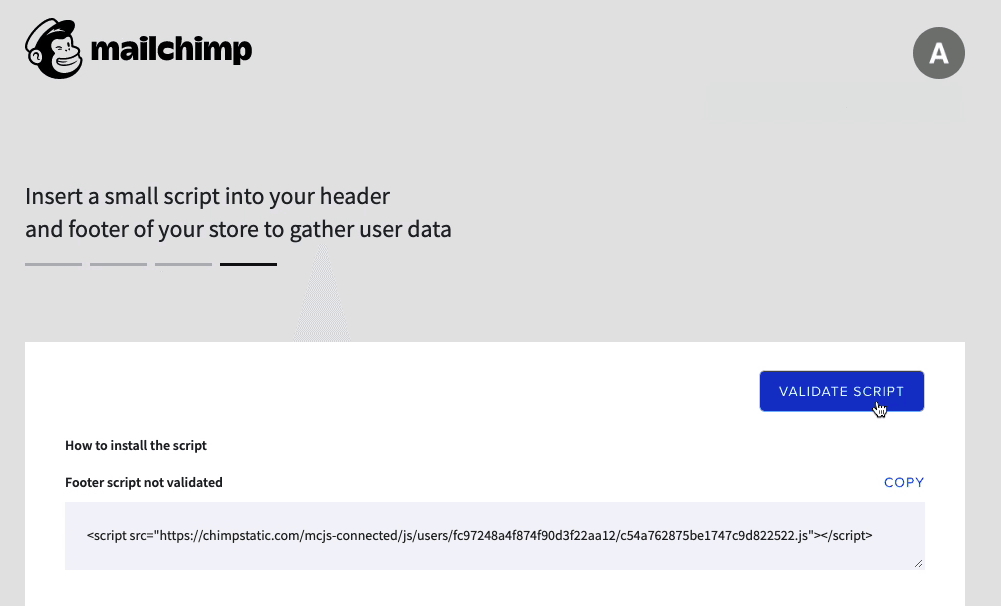 Mailchimp for BigCommerce - Validate Script