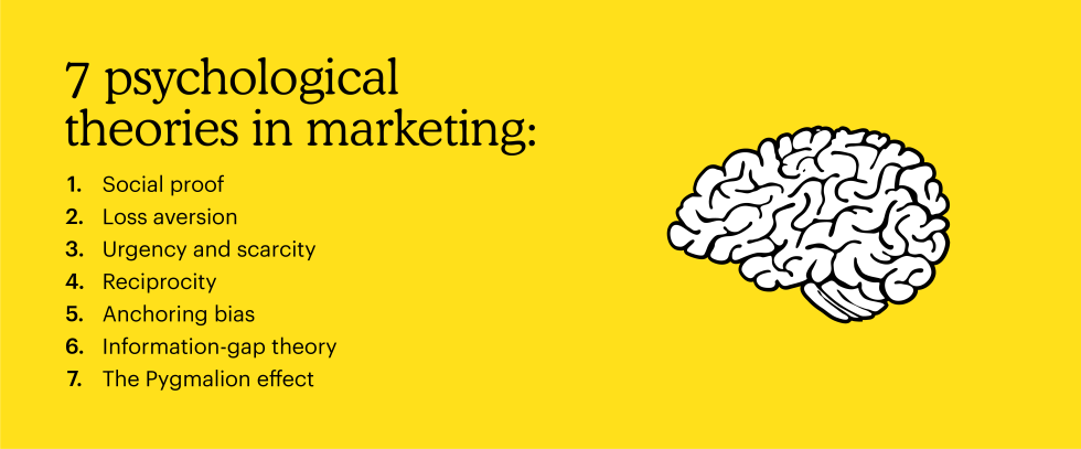 Graphic with a illustrated brain next to the headline "7 psychological theories in marketing"