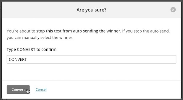 Modal that asks if you're sure you want to stop the automatic send, with Convert typed in all caps in the field.