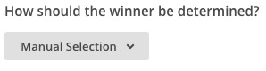 Schermata del menu a tendina “How should the winner be determined” (Come deve essere determinato il vincitore) con “Manual Selection” (Selezione manuale) selezionata.