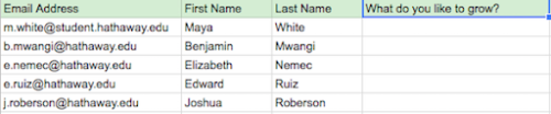 new-column-spreadsheet