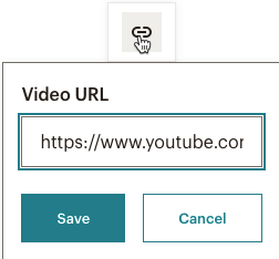 add-section-enter-video-URL