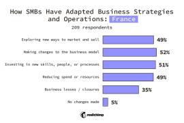 France SMBs
Changes made to business strategy or operations
Exploring new ways to market and sell 49%
Making changes to the business model 52%
Investing in new skills, people, or processes 51%
Reducing spend or resources 49%
Business losses/closures 35%
No changes made 5%