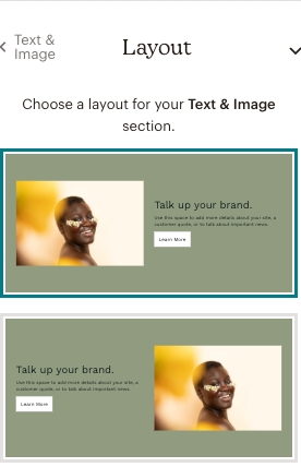 websites-section-panel-select-layout